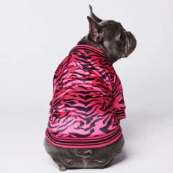 Dog Cat Coat Jacket Fashion Cute Winter Warm Breathable Soft Washable Comfortable Outdoor Casual Daily Dog Clothing for Bichon Frise Pomeranian Baby Pet Papillon Small