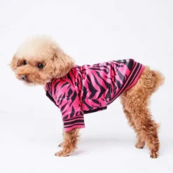 Dog Cat Coat Jacket Fashion Cute Winter Warm Breathable Soft Washable Comfortable Outdoor Casual Daily Dog Clothing for Bichon Frise Pomeranian Baby Pet Papillon Small