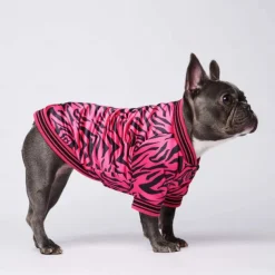 Dog Cat Coat Jacket Fashion Cute Winter Warm Breathable Soft Washable Comfortable Outdoor Casual Daily Dog Clothing for Bichon Frise Pomeranian Baby Pet Papillon Small