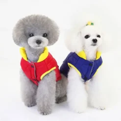 Dog Cat Coat Jacket Fashion Cute Winter Breathable Soft Washable Comfortable Outdoor Casual Daily Dog Clothing for Bichon Frise Pomeranian Baby Pet Papillon Small