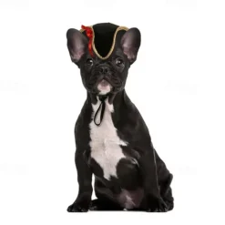 Dog Cat Dog Bandana & Dog Hat Party Funny Winter Breathable Soft Washable Comfortable Party Halloween Casual Daily Festival Dog Clothing for Bichon Frise Pomeranian Baby Pet Papillon Small