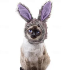 Dog Cat Dog Bandana & Dog Hat Party Funny Winter Breathable Soft Washable Comfortable Party Halloween Casual Daily Festival Dog Clothing for Bichon Frise Pomeranian Baby Pet Papillon Small