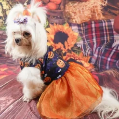 Dog Cat Dress Cute Casual Breathable Soft Washable Comfortable Halloween Casual Daily Festival Dog Clothing for Bichon Frise Pomeranian Baby Pet Papillon Small