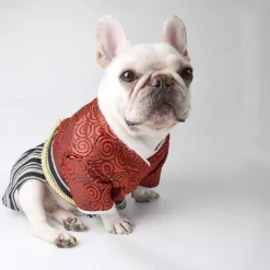 Dog Cat Halloween Costumes Costume Halloween Outfit Cosplay Funny Winter Soft Washable Comfortable Halloween Outdoor Halloween Casual Daily Dog Clothing for Bichon Frise Pomeranian Baby Pet Papillon