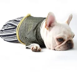 Dog Cat Halloween Costumes Costume Halloween Outfit Cosplay Funny Winter Soft Washable Comfortable Halloween Outdoor Halloween Casual Daily Dog Clothing for Bichon Frise Pomeranian Baby Pet Papillon