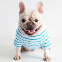 Dog Cat Pajamas Fashion Cute Winter Soft Washable Comfortable Indoor Casual Daily Dog Clothing for Bichon Frise Poodle Pomeranian Baby Pet Papillon