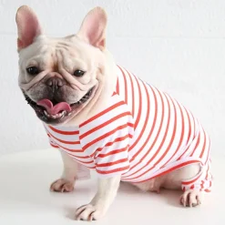 Dog Cat Pajamas Fashion Cute Winter Soft Washable Comfortable Indoor Casual Daily Dog Clothing for Bichon Frise Poodle Pomeranian Baby Pet Papillon