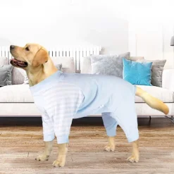 Dog Cat Pajamas Surgery Recovery Suit Fashion Cute Winter Breathable Soft Washable Comfortable Outdoor Casual Daily Dog Clothing for Bichon Frise Pomeranian Baby Pet Papillon Small