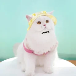 Dog Cat Pets Hats, Caps & Bandanas Adjustable Size Solid For Dog / Cat Solid Colored 1PC