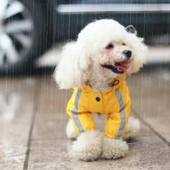 Dog Cat Rain Coat Rain Jacket Fashion Cute Winter Reflective Waterproof Breathable Soft Washable Outdoor Casual Daily Dog Clothing for Bichon Frise Pomeranian Baby Pet Papillon Small