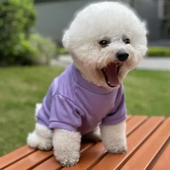 Dog Cat Shirt / T-Shirt Casual / Sporty Euramerican Warm Breathable Washable Comfortable Sports & Outdoors Outdoor Sports Outdoor Weekend Dog Clothing for Husky Dalmatian Border Collie Japanese Spitz