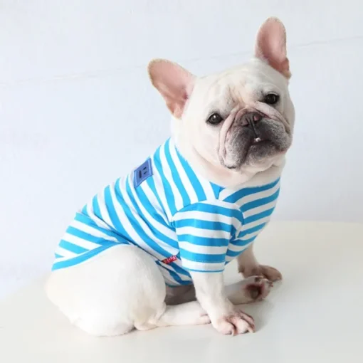 Dog Cat Shirt / T-Shirt Fashion Casual Winter Waterproof Breathable Soft Washable Comfortable Casual Daily Dog Clothing for Bichon Frise Pomeranian Baby Pet Papillon Small