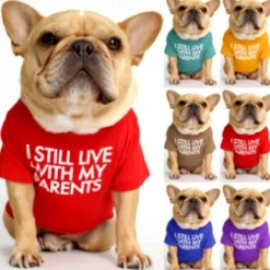 Dog Cat Shirt / T-Shirt Fashion Cute Breathable Soft Washable Comfortable Outdoor Casual Daily Dog Clothing for Bichon Frise Pomeranian Baby Pet Papillon Small