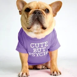 Dog Cat Shirt / T-Shirt Fashion Cute Breathable Soft Washable Comfortable Outdoor Casual Daily Dog Clothing for Bichon Frise Pomeranian Baby Pet Papillon Small