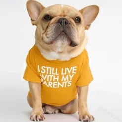 Dog Cat Shirt / T-Shirt Fashion Cute Breathable Soft Washable Comfortable Outdoor Casual Daily Dog Clothing for Bichon Frise Pomeranian Baby Pet Papillon Small