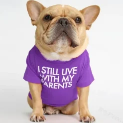 Dog Cat Shirt / T-Shirt Fashion Cute Breathable Soft Washable Comfortable Outdoor Casual Daily Dog Clothing for Bichon Frise Pomeranian Baby Pet Papillon Small