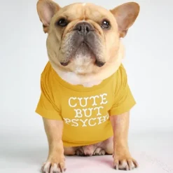 Dog Cat Shirt / T-Shirt Fashion Cute Breathable Soft Washable Comfortable Outdoor Casual Daily Dog Clothing for Bichon Frise Pomeranian Baby Pet Papillon Small