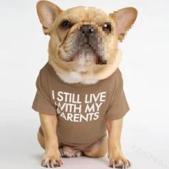 Dog Cat Shirt / T-Shirt Fashion Cute Waterproof Breathable Soft Washable Comfortable Outdoor Casual Daily Dog Clothing for Bichon Frise Pomeranian Baby Pet Papillon Small