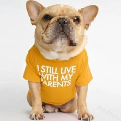 Dog Cat Shirt / T-Shirt Fashion Cute Waterproof Breathable Soft Washable Comfortable Outdoor Casual Daily Dog Clothing for Bichon Frise Pomeranian Baby Pet Papillon Small