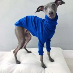 Dog Cat Shirt / T-Shirt Fashion Cute Breathable Soft Washable Comfortable Outdoor Casual Daily Dog Clothing for Bichon Frise Pomeranian Baby Pet Papillon Small