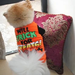 Dog Cat Shirt / T-Shirt Fashion Cool Waterproof Breathable Soft Washable Comfortable Outdoor Halloween Casual Daily Dog Clothing for Bichon Frise Pomeranian Baby Pet Papillon Small