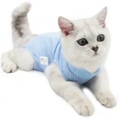 Dog Cat Surgery Recovery Suit Breathable Soft Comfortable Safety Dog Clothing