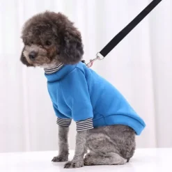 Dog Cat Sweatshirt Fashion Illuminated Winter Breathable Soft Washable Comfortable Outdoor Casual Daily Dog Clothing for Bichon Frise Pomeranian Baby Pet Papillon Small