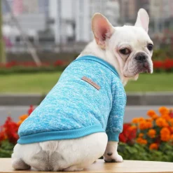 Dog Cat Sweatshirt Jumpsuit Leisure Casual / Sporty Warm Soft Washable Fashion Comfortable New Year Thanksgiving International Beer Festival Outdoor Vacation New Year Dailywear Sports Outdoor Dog