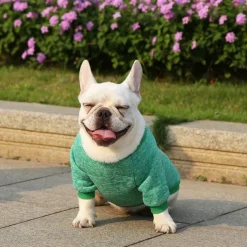 Dog Cat Sweatshirt Jumpsuit Leisure Casual / Sporty Warm Soft Washable Fashion Comfortable New Year Thanksgiving International Beer Festival Outdoor Vacation New Year Dailywear Sports Outdoor Dog