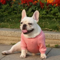 Dog Cat Sweatshirt Jumpsuit Leisure Casual / Sporty Warm Soft Washable Fashion Comfortable New Year Thanksgiving International Beer Festival Outdoor Vacation New Year Dailywear Sports Outdoor Dog