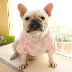 Dog Cat Sweatshirt Pajamas Fashion Cute Winter Warm Soft Washable Comfortable Outdoor Indoor Casual Daily Dog Clothing for Bichon Frise Poodle Pomeranian Baby Pet Papillon