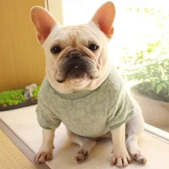 Dog Cat Sweatshirt Pajamas Fashion Cute Winter Warm Soft Washable Comfortable Outdoor Indoor Casual Daily Dog Clothing for Bichon Frise Poodle Pomeranian Baby Pet Papillon