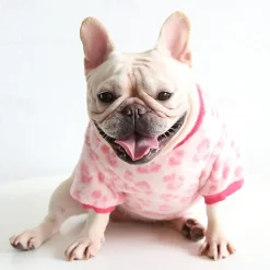 Dog Cat Sweatshirt Pajamas Fashion Cute Winter Warm Soft Washable Comfortable Outdoor Indoor Casual Daily Dog Clothing for Bichon Frise Poodle Pomeranian Baby Pet Papillon