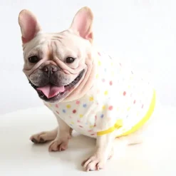 Dog Cat Sweatshirt Pajamas Fashion Cute Winter Warm Soft Washable Comfortable Outdoor Indoor Casual Daily Dog Clothing for Bichon Frise Poodle Pomeranian Baby Pet Papillon