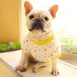 Dog Cat Sweatshirt Pajamas Fashion Cute Winter Warm Soft Washable Comfortable Outdoor Indoor Casual Daily Dog Clothing for Bichon Frise Poodle Pomeranian Baby Pet Papillon