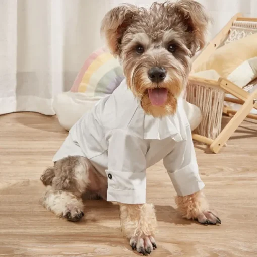 Dog Cat T-shirts Fashion Casual Winter Breathable Soft Washable Comfortable Outdoor Casual Daily Dog Clothing for Bichon Frise Pomeranian Baby Pet Papillon Small