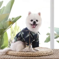 Dog Cat T-shirts Fashion Cute Basic Soft Washable Comfortable Outdoor Casual Daily Walking Dog Clothing for Bichon Frise Pomeranian Baby Pet Papillon Small