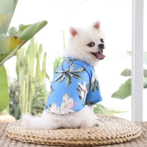 Dog Cat T-shirts Fashion Cute Basic Soft Washable Comfortable Outdoor Casual Daily Walking Dog Clothing for Bichon Frise Pomeranian Baby Pet Papillon Small