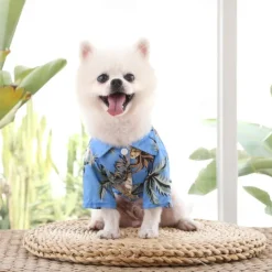 Dog Cat T-shirts Fashion Cute Basic Soft Washable Comfortable Outdoor Casual Daily Walking Dog Clothing for Bichon Frise Pomeranian Baby Pet Papillon Small