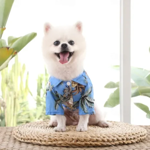 Dog Cat T-shirts Fashion Cute Basic Soft Washable Comfortable Outdoor Casual Daily Walking Dog Clothing for Bichon Frise Pomeranian Baby Pet Papillon Small