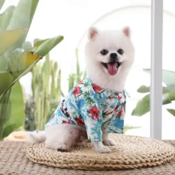 Dog Cat T-shirts Fashion Cute Basic Soft Washable Comfortable Outdoor Casual Daily Walking Dog Clothing for Bichon Frise Pomeranian Baby Pet Papillon Small