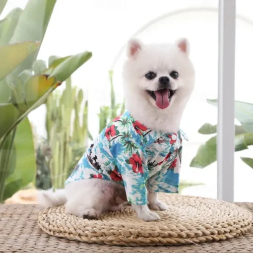 Dog Cat T-shirts Fashion Cute Basic Soft Washable Comfortable Outdoor Casual Daily Walking Dog Clothing for Bichon Frise Pomeranian Baby Pet Papillon Small