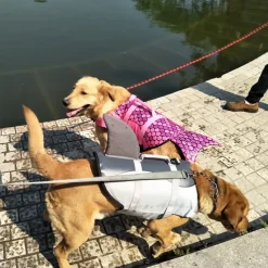 Dog Dog Life Jacket Adjustable Safety Dog Clothing