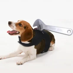 Dog Halloween Costumes Costume Halloween Outfit Scary Costume Soft Halloween Carnival Party Dog Clothing for Small Medium