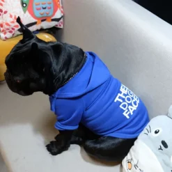 Dog Hoodie Fashion Winter Warm Fashion Comfortable Outdoor Dailywear Indoor Dog Clothing for Small Medium Large