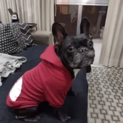 Dog Hoodie Fashion Winter Warm Fashion Comfortable Outdoor Dailywear Indoor Dog Clothing for Small Medium Large