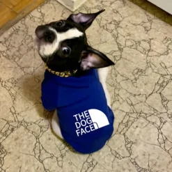 Dog Hoodie Fashion Winter Warm Fashion Comfortable Outdoor Dailywear Indoor Dog Clothing for Small Medium Large