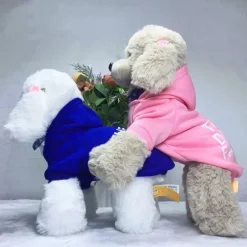 Dog Hoodie Fashion Winter Warm Fashion Comfortable Outdoor Dailywear Indoor Dog Clothing for Small Medium Large