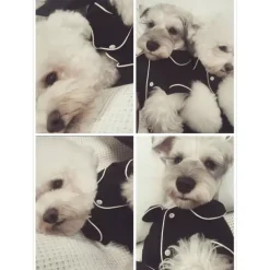 Dog Pajamas Puppy Clothes Casual Daily Winter Dog Clothing