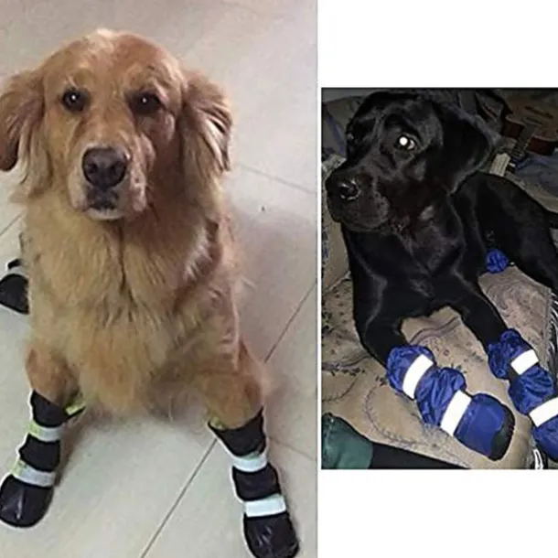 Dog Shoes,Dog Boots Waterproof Shoes For Large Dogs,dog Boots Warm Lining Nonslip Rubber Sole For Snow Winter,anti-slip Sole Pet Paw Protectors 4pcs (l, Blue) Dog Boots